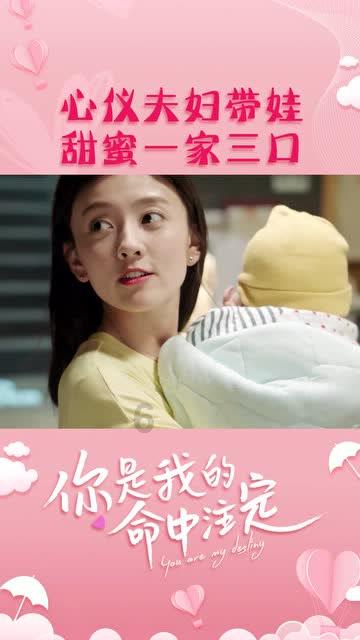 卡通考拉救援